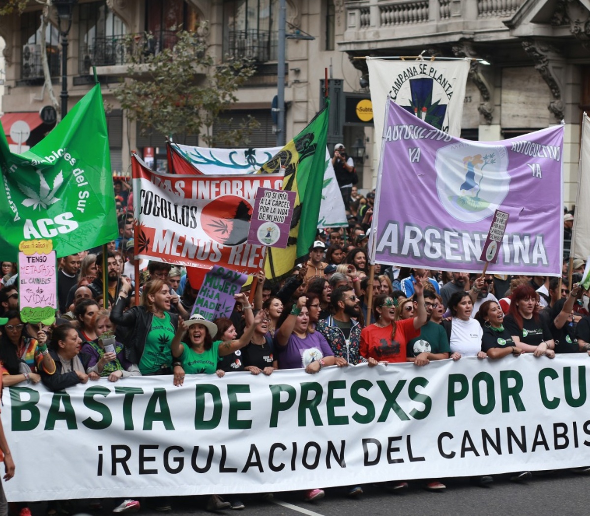 Cannabis medicinal: el Gobierno prevé autorizar el ... | Página12