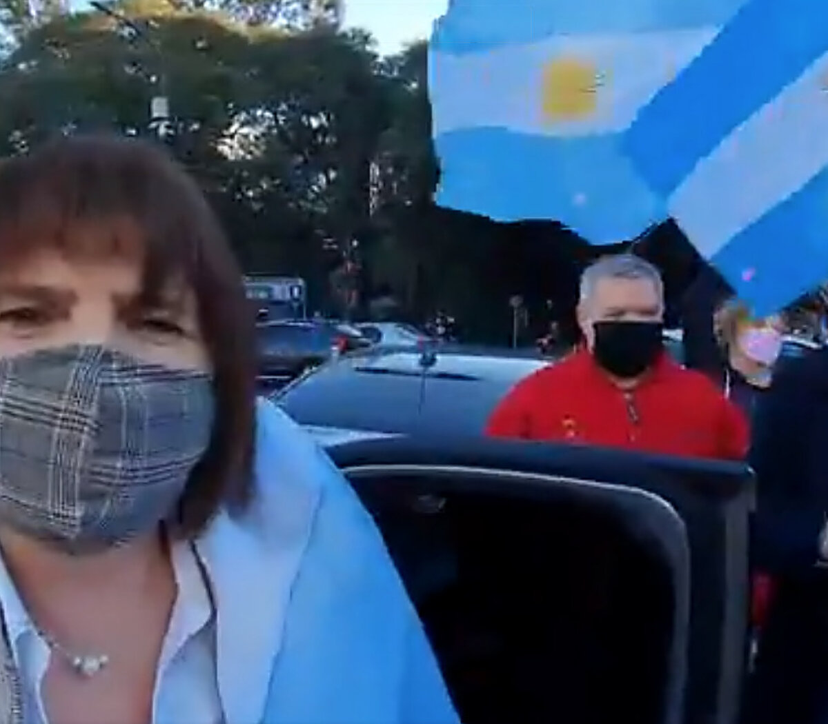 Marcha Anticuarentena Patricia Bullrich En Su Salsa La Presidenta Del Pro Fue A La Movilizacion Y Quiso Darle Consejos A Alberto Fernandez Pagina12