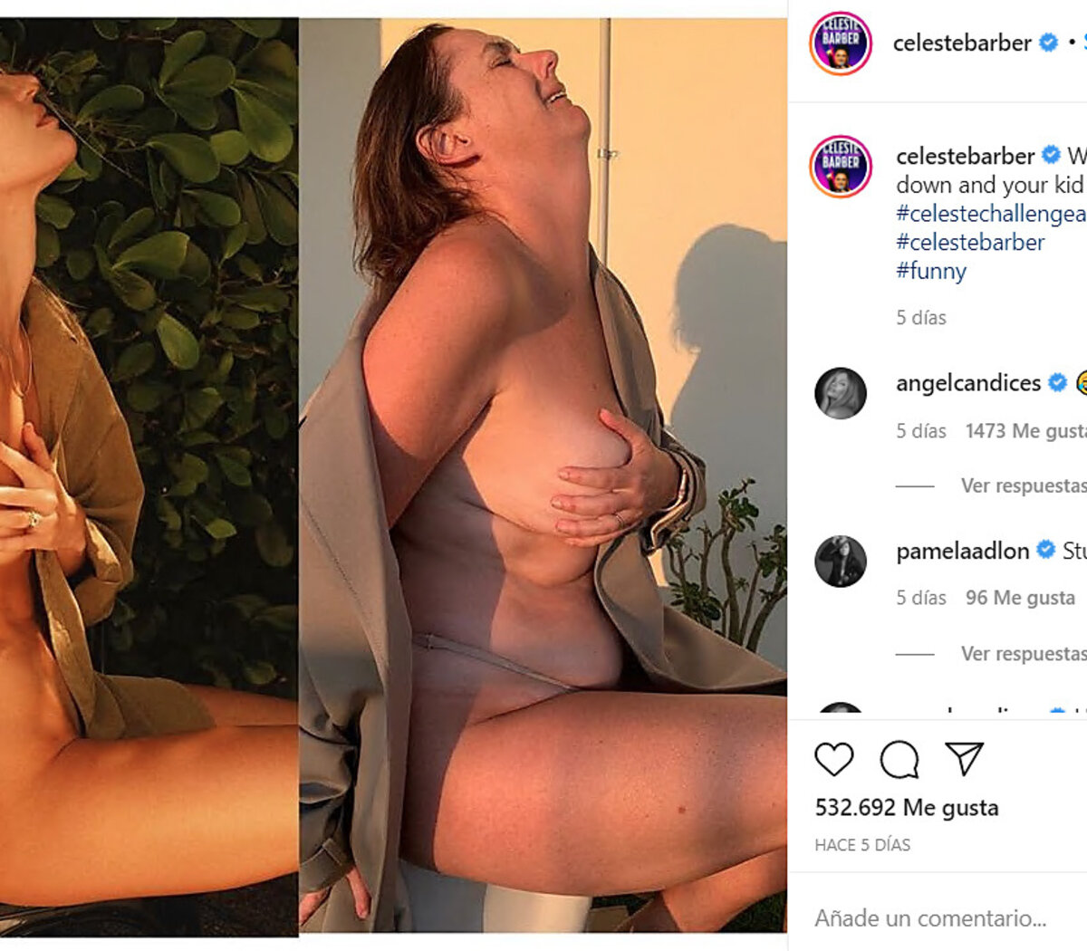 La doble vara de Instagram para censurar cuerpos desnudos | Prohibió la  parodia pero no la foto original de la modelo | Página|12