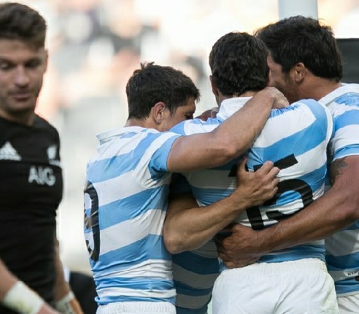 Triunfo histórico de Los Pumas frente a los All Blacks | Argentina le ganó  25 a 15 por el Tres Naciones | Página12