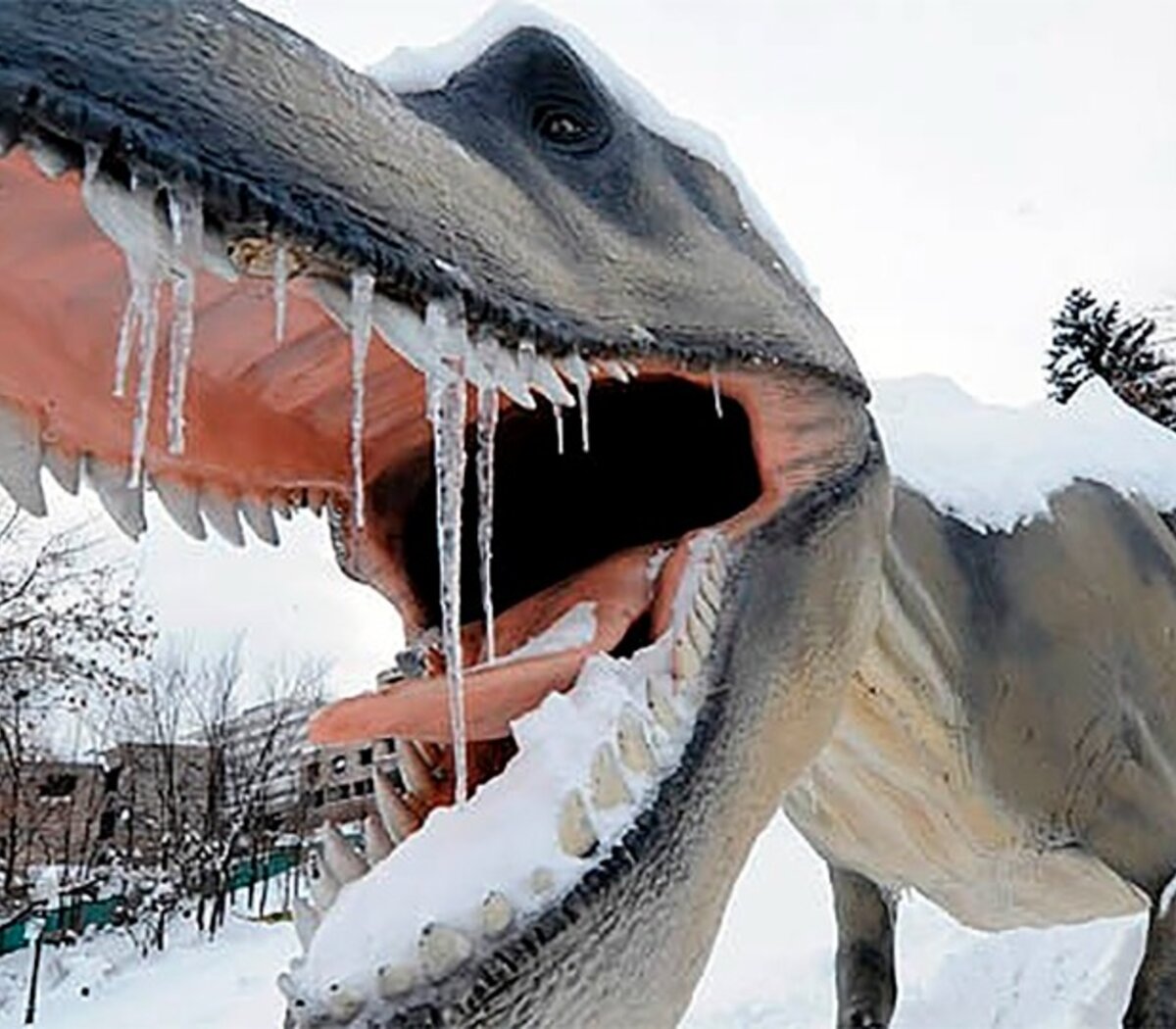 El frío pudo haber sido clave en la extinción de los dinosaurios | Un  estudio publicado este martes afirma que las bajas temperaturas fueron  decisivas antes del meteorito | Página12