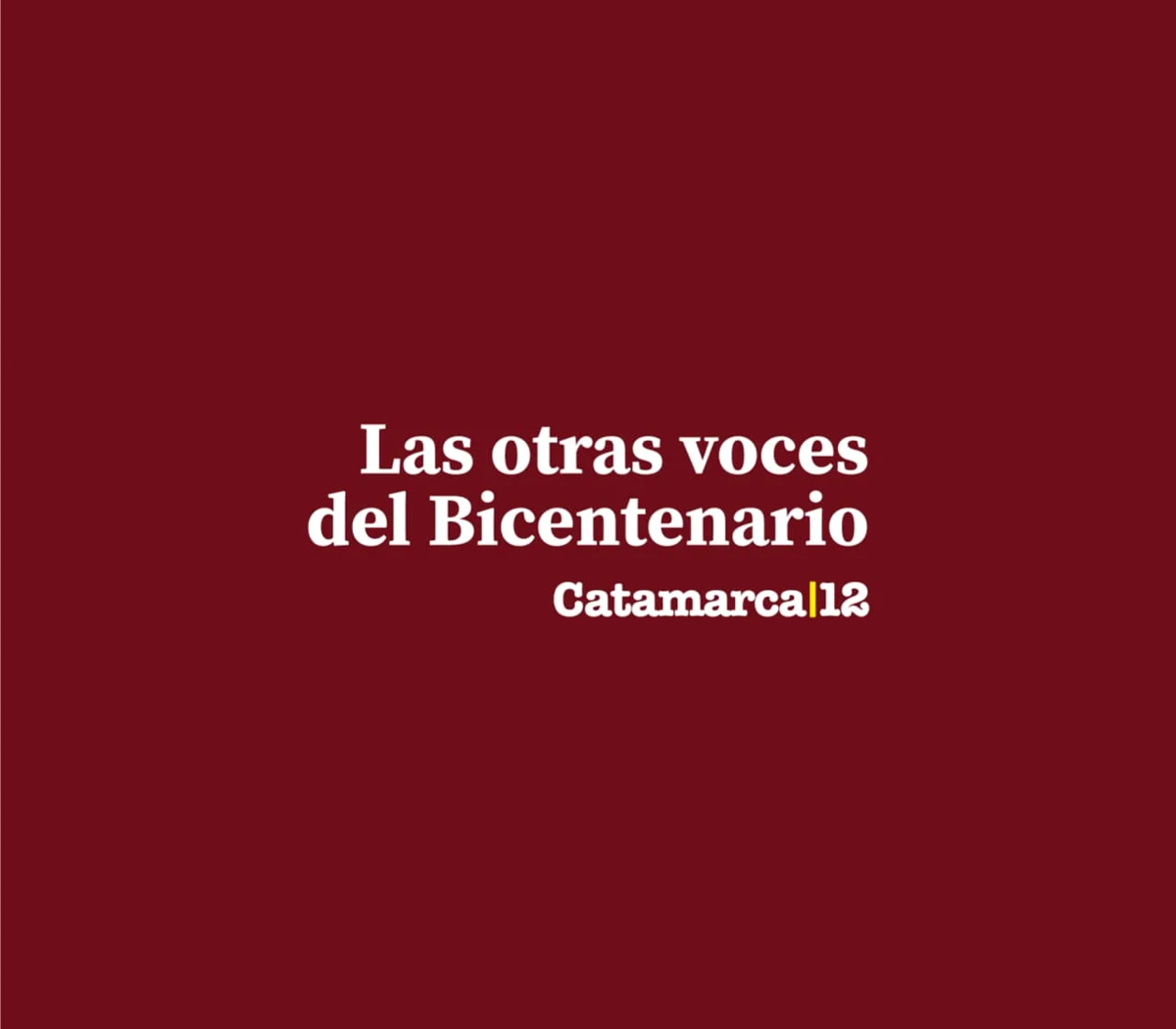 Sin las voces de les cuerpos disidentes no podemos hablar de un  Bicentenario