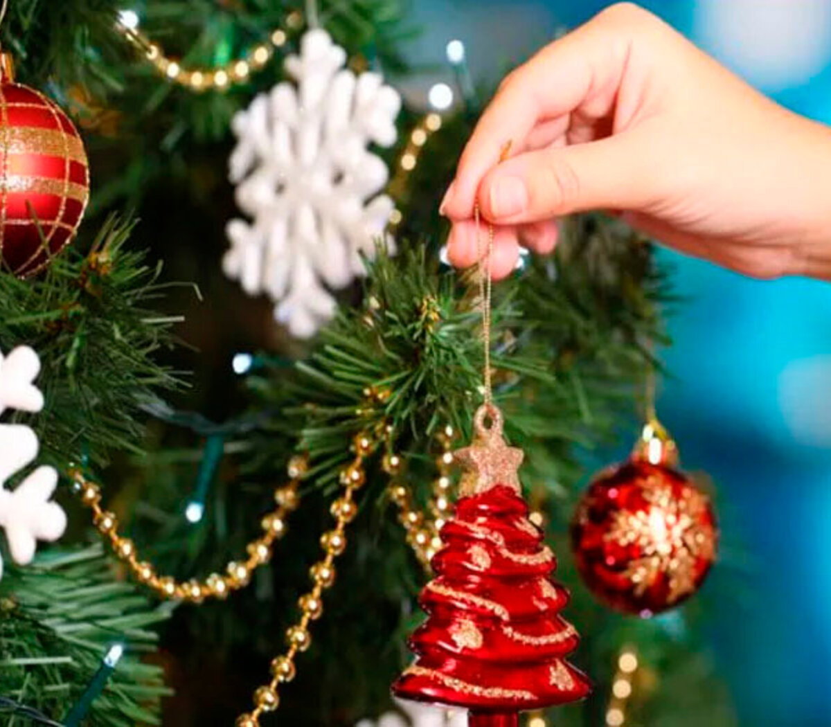 Por qué el árbol de Navidad se arma el 8 de diciembre? | Una tradición que  se repite año tras año | Página12