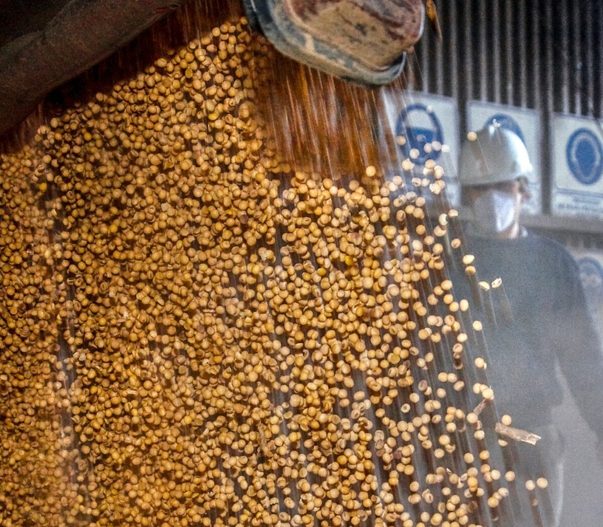 Empresas fantasmas de exportaciones de granos | La AFIP desbarató una red  que defraudó al fisco en 44 millones de dólares | Página12