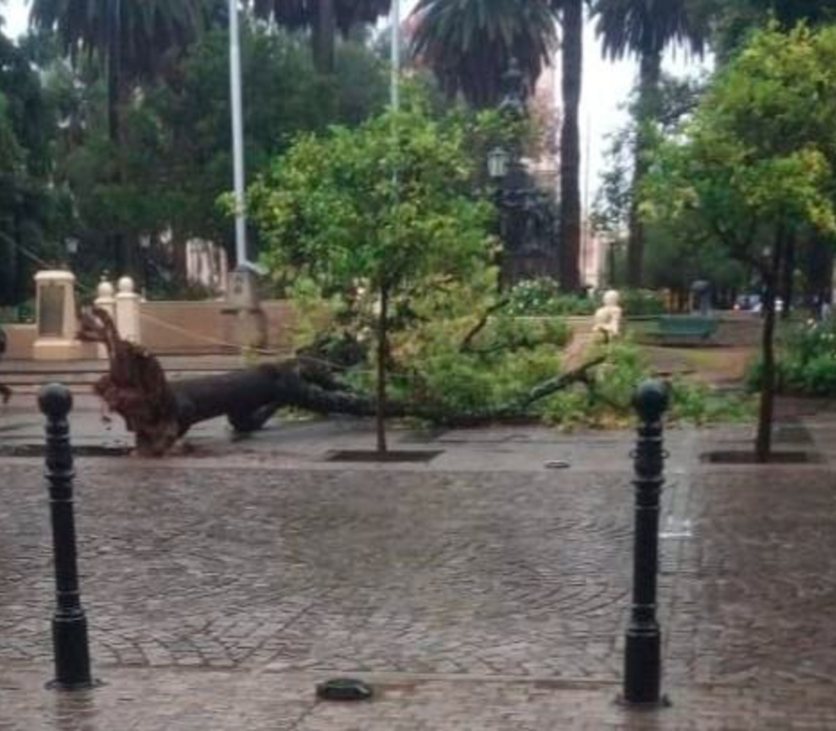 Violento temporal en Salta Once evacuados, crecida de ríos e