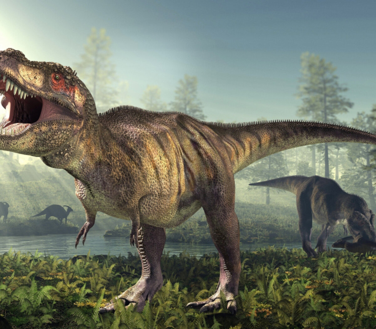 Un nuevo estudio revela que la mayoría de los dinosaurios eran de sangre  caliente | El moderno método que zanjó una discusión de hace décadas |  Página12