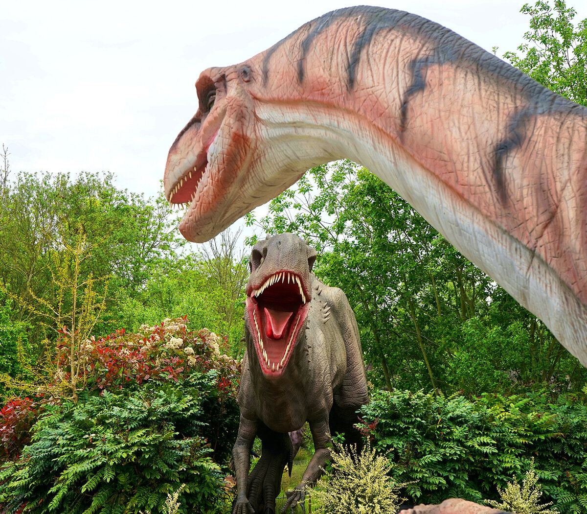 De-extinción: ¿Qué pasaría si los dinosaurios volvieran a la vida? | El  sueño de Jurassic Park que desvela a parte de la comunidad científica |  Página12