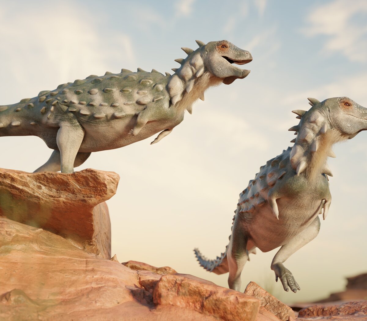 Hallan en la Patagonia el primer dinosaurio bípedo y acorazado de Sudamérica | En Río Negro | Página12 Hallan en la Patagonia el primer dinosaurio bípedo y acorazado de Sudamérica | En Río Negro | Página12
