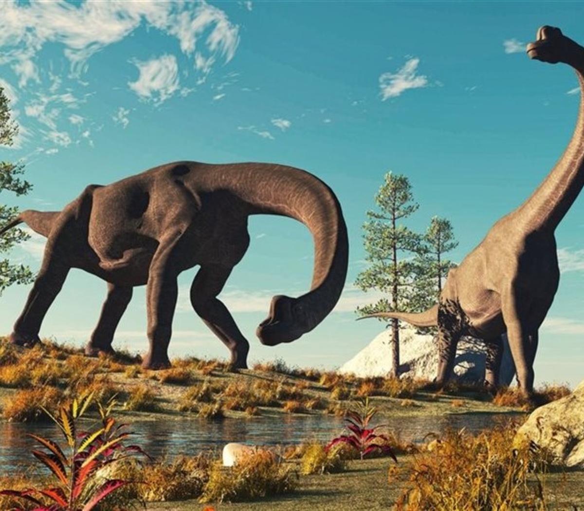Portugal: encontró los restos de un dinosaurio en el patio de su casa | El más grande hallado en Europa | Página12 Portugal: encontró los restos de un dinosaurio en el patio de su casa | El más grande hallado en Europa | Página12