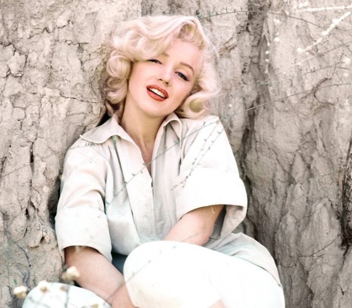 Caras  Marilyn Monroe - as teorias sobre a morte misteriosa da diva