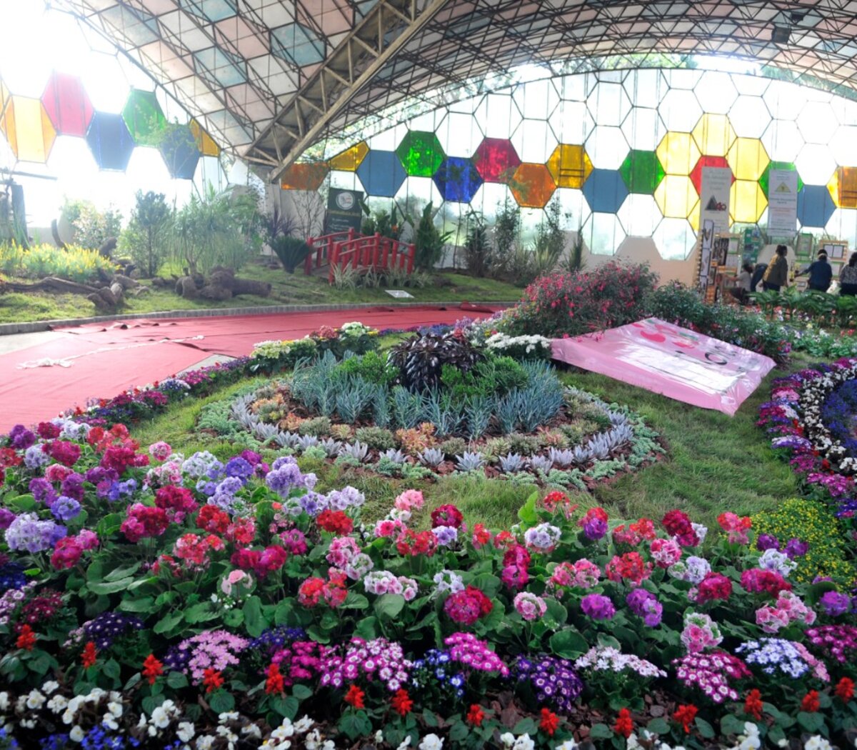 Una cita con los colores y los olores del mundo | Fiesta Nacional de la  Flor en Escobar | Página12
