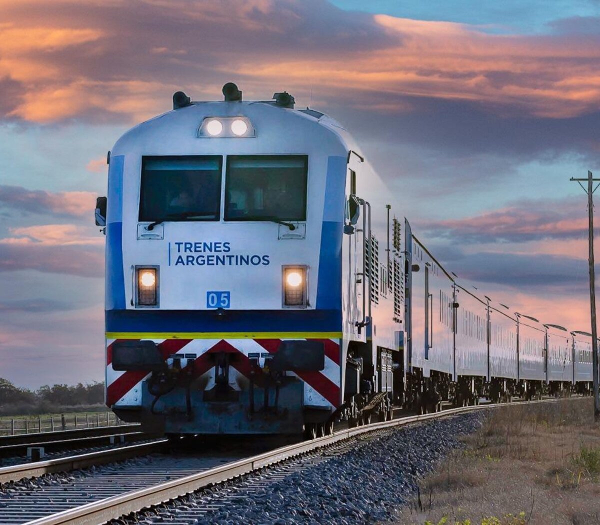 Trenes argentinos de larga distancia: ¿cómo sacar pasajes gratis para  personas con discapacidad? | A la espera de que salgan a la venta los  boletos para diciembre | Página12