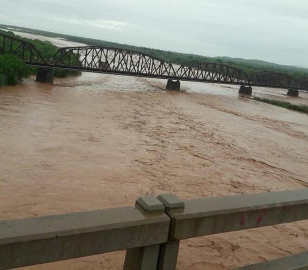 710372-r-c3-ado-20bermejo