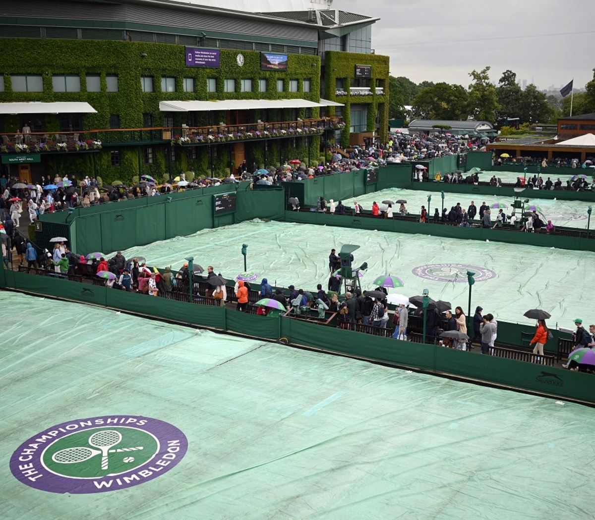 Wimbledon: cuándo juegan los argentinos tras la suspensión por