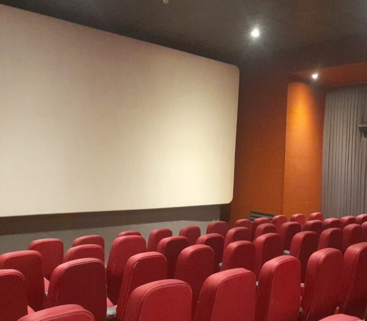 CineArte Cacodelphia, el regreso de un clásico | Reabrió la sala de  Diagonal Norte | Página|12