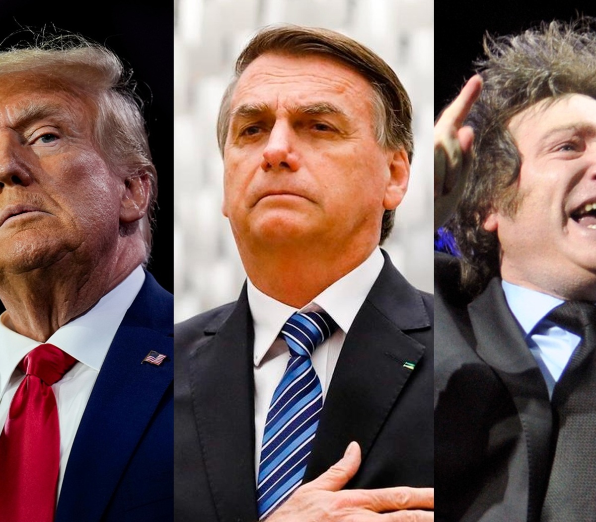 Nueva derecha, nuevos desafíos | Página|12