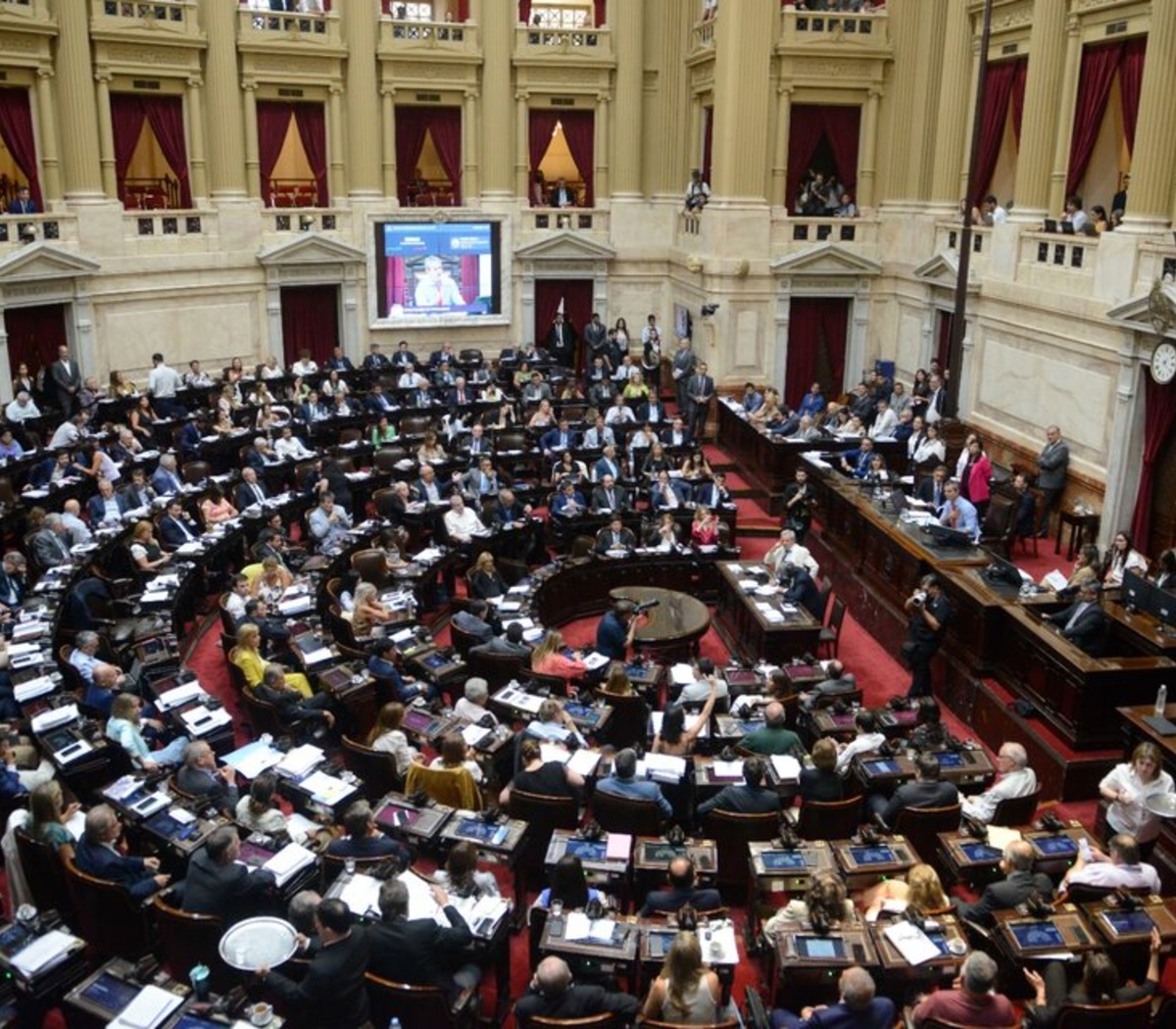 Jóvenes radicales rechazan el voto a favor de la Ley Ómnibus | Duro cuestionamiento interno a los diputados de la UCR | Página|12