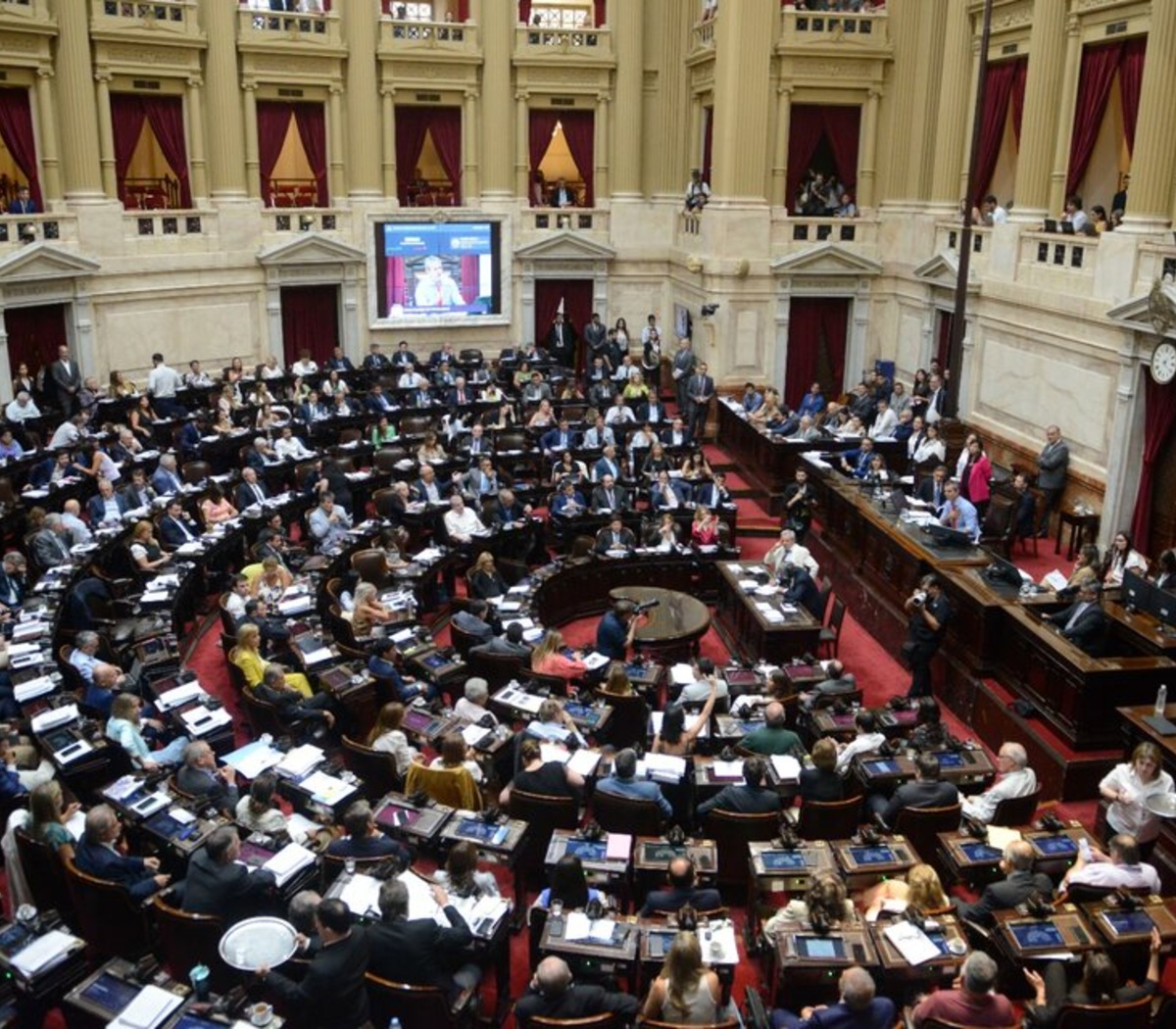 Jóvenes radicales rechazan el voto a favor de la Ley Ómnibus | Duro  cuestionamiento interno a los diputados de la UCR | Página|12