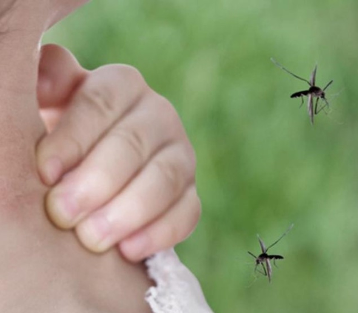 Салат овощной с маслом. Лабрет губа монро медуза. La bite. Зелень для салатов. Sur la bite.