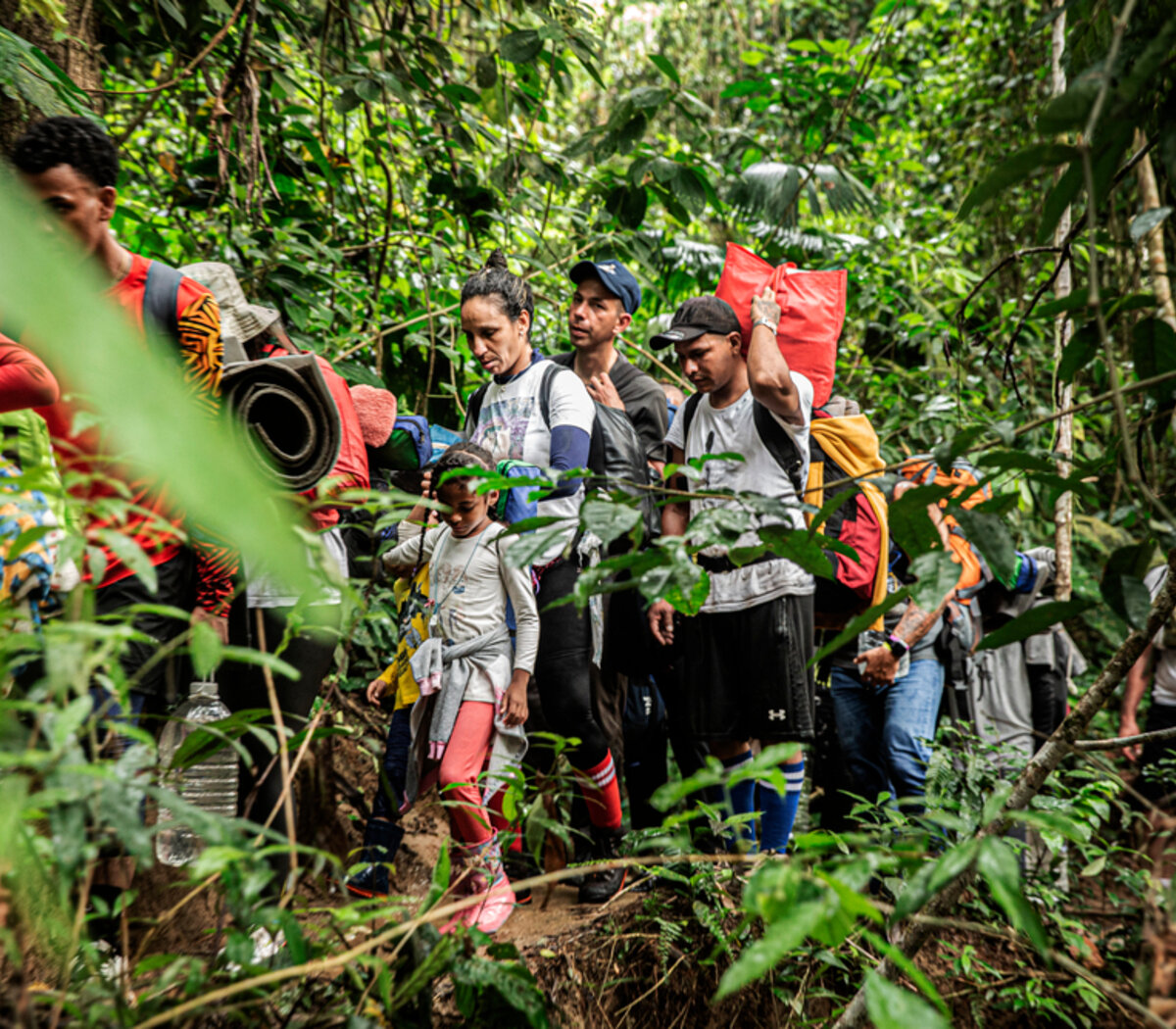 Crisis migratoria: 16 mujeres son violadas por día en la selva del Darién |  Drástico aumento de la violencia sexual en esta ruta migratoria | Página|12