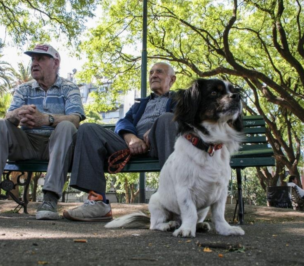 852072-jubiladoscamps_0