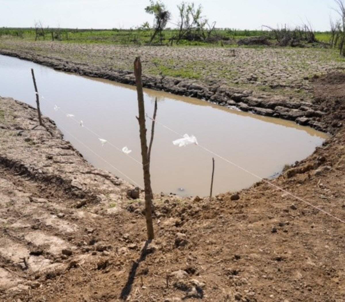 Nos estamos quedando sin agua" | Consecuencias de la Hidrovía en la  localidad entrerriana de Victoria | Página|12