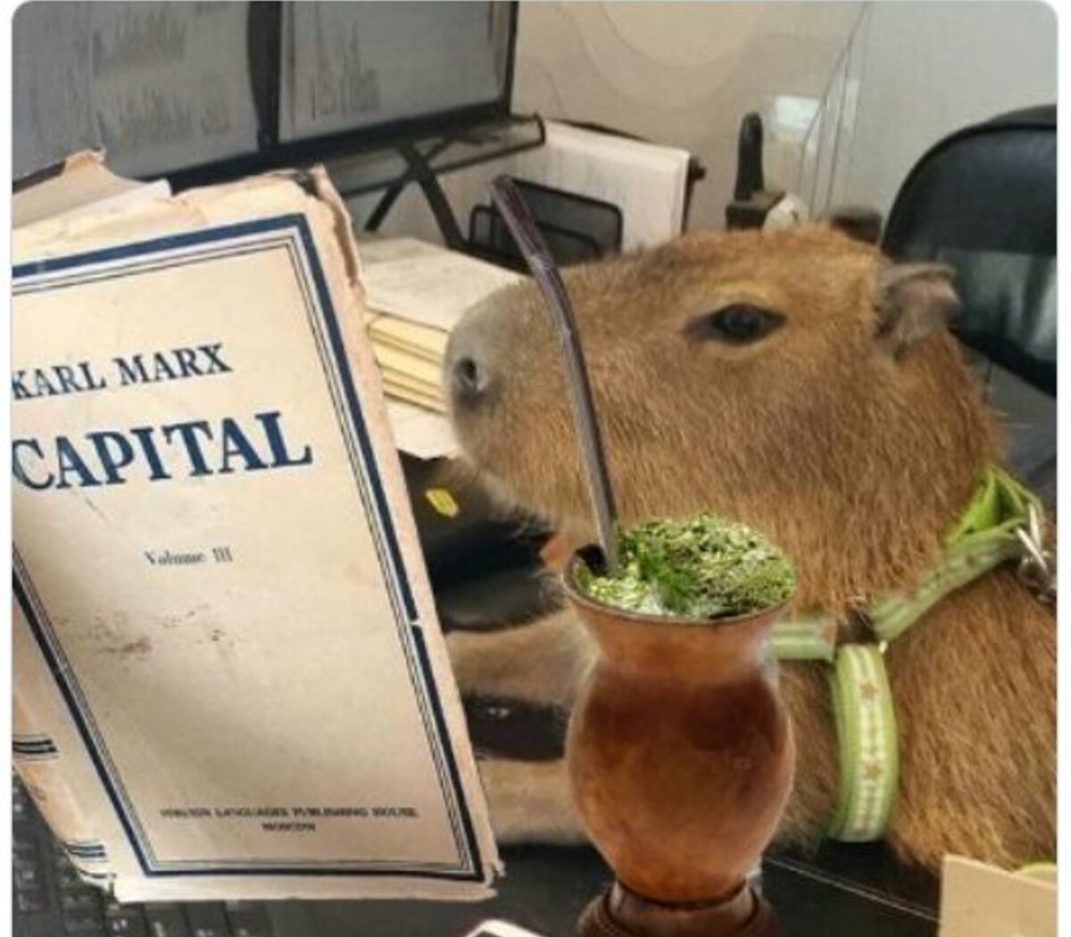 meme-2_0.jpg?itok=Se1RC3lp