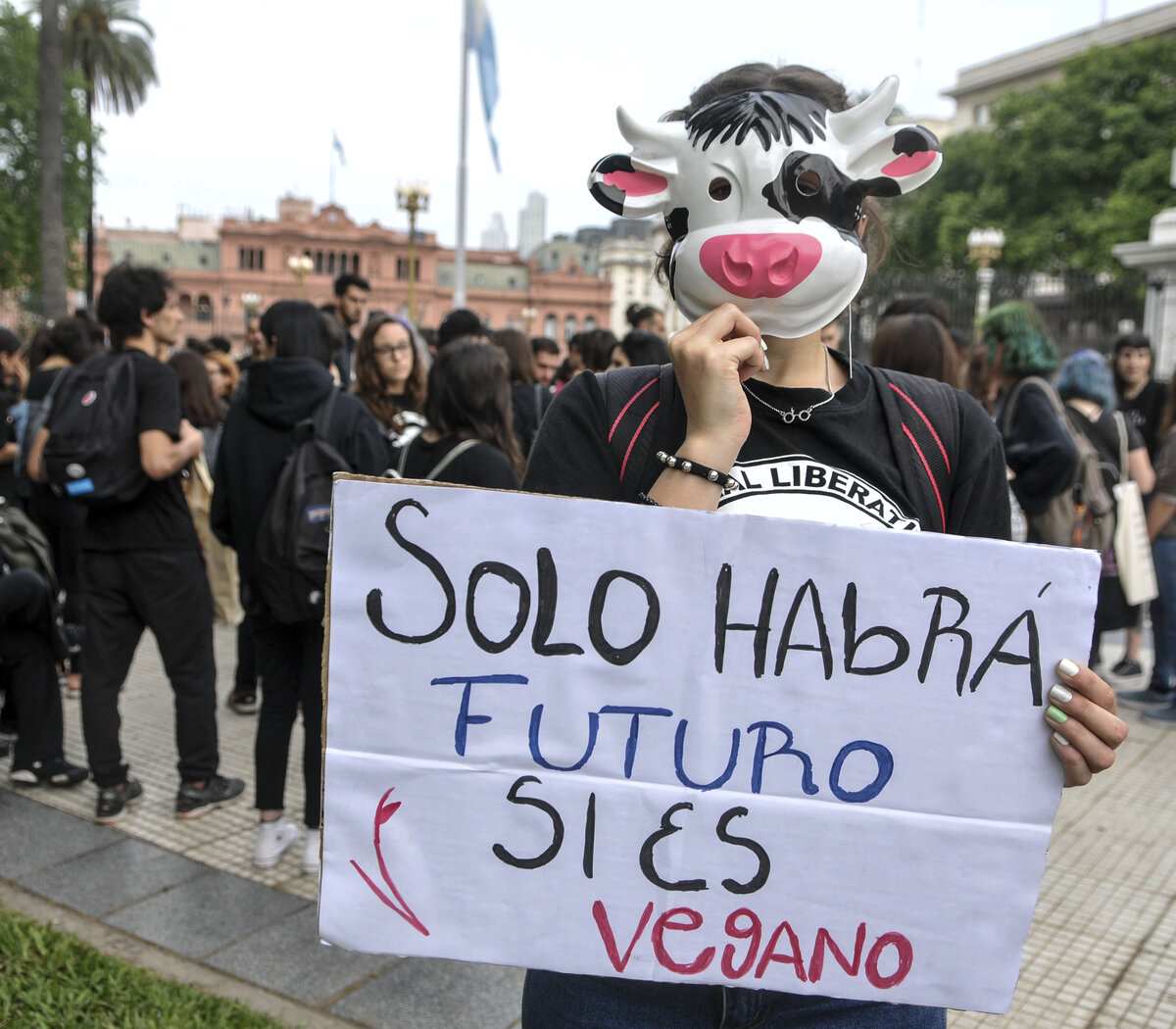 Veganismo: una marcha por la liberación animal | Organizaciones veganas marcharon de Plaza de Mayo al Congreso | Página12