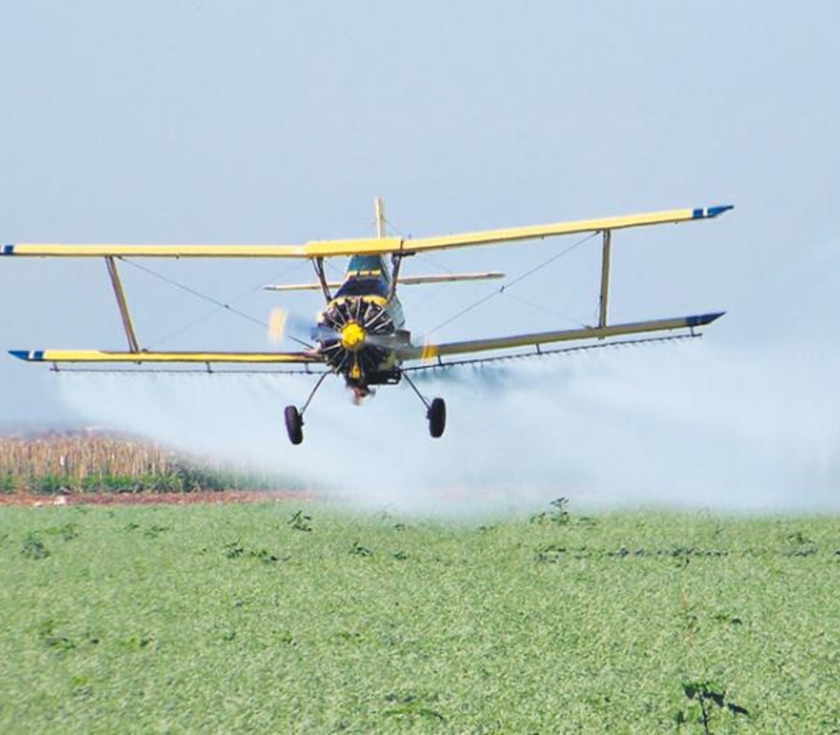 Un Limite A Las Fumigaciones Con Agrotoxicos En Ent Pagina12