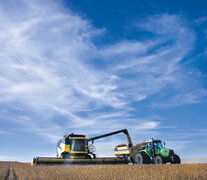 Los datos oficiales dan cuenta de que la cosecha total será record este año por el trigo y el maíz.