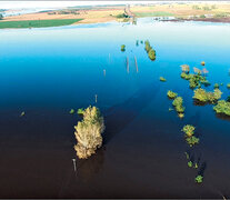 La inundación deja la marca del maltrato de la tierra por parte del agronegocio. (Fuente: Télam) (Fuente: Télam) (Fuente: Télam)