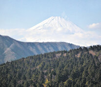 Fuji-san, el volcán de 3776 metros que se divisa incluso desde Tokio, aquí en Hakone. (Fuente: Graciela Cutuli) (Fuente: Graciela Cutuli) (Fuente: Graciela Cutuli)