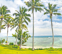 La costa de Samoa, palmeras y un mar de colores verdeazulados.