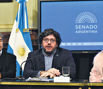 Pablo Avelluto dijo en el Congreso que se mantendrían las fuentes laborales y luego se conocieron nuevos despidos.