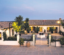 Finca El Regajal, en el municipio de Aranjuez, un paraíso de olivares y viñedos.