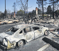 Autos calcinados en Tubbs, condado de Napa, uno de los focos más virulentos y preocupantes. (Fuente: AFP) (Fuente: AFP) (Fuente: AFP)