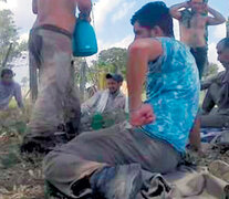 Los trabajadores santiagueños provenientes de Salavina en el campo bonaerense de Advanta.