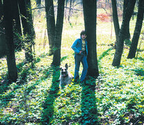 La infancia de Andrei: el hijo de Tarkovski y su perro Dak, el 10 de mayo de 1981.