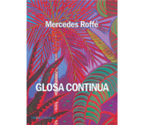 Glosa continua Mercedes Roffé Excursiones 94 páginas