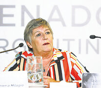 “El país no está bien y se tapa con el debate del aborto”, opina la senadora Nancy González.
