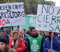 Trabajadores de Agricultura Familiar y organizaciones campesinas se movilizaron en todo el país.