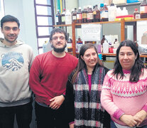 De izquierda a derecha, Gabriel de Diego, Juan Pablo Ferro, Ayelén González Núñez y Bettina Eissa, de la UNLu.