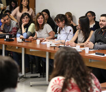 Deudores y especialistas expusieron los casos en una reunión en la Cámara de Diputados.