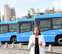 Fein habló con la prensa en la presentación de las unidades del transporte de la empresa El Cacique.