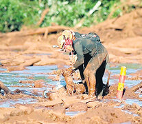 Un bombero rescata un cuerpo de entre el lodo, durante las tareas de búsqueda en Brumadinho. (Fuente: EFE) (Fuente: EFE) (Fuente: EFE)