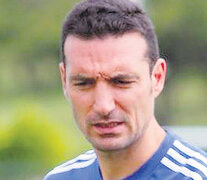 Lionel Scaloni, DT de la Selección mayor. (Fuente: Prensa AFA) (Fuente: Prensa AFA) (Fuente: Prensa AFA)