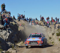 Neuville logró su segundo triunfo de la temporada y continúa liderando el campeonato. (Fuente: Juan Biaggini/Gentileza Prensa ACA) (Fuente: Juan Biaggini/Gentileza Prensa ACA) (Fuente: Juan Biaggini/Gentileza Prensa ACA)