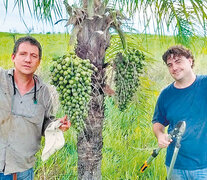 Los ingenieros agrónomos Diego Wassner y Antonio Barrio, de la cátedra de Cultivos industriales UBA.