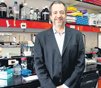 Fernando Pitossi está a cargo del Laboratorio de Terapias Regenerativas del Instituto Leloir.