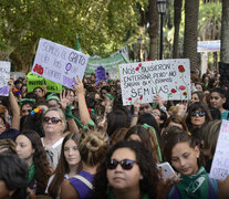 El poder de movilización del feminismo no tiene su reflejo en la lista de Diputados. (Fuente: Andres Macera) (Fuente: Andres Macera) (Fuente: Andres Macera)